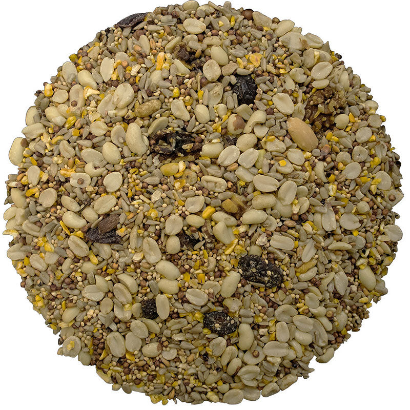 Easy Fill Bird Feeder - Bird Pro Classic No-Mess Bundle