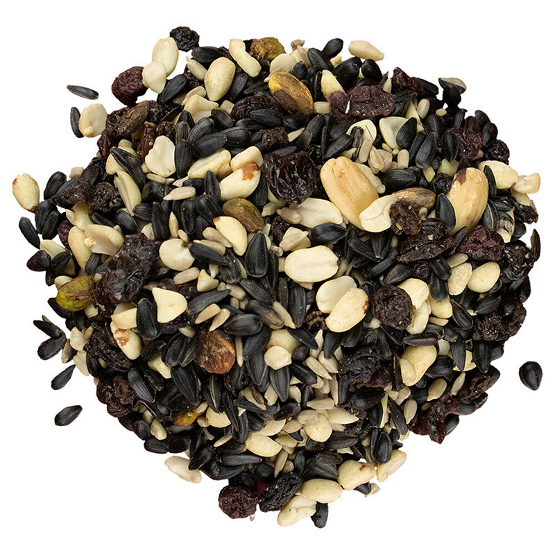 Easy Fill Bird Feeder - Bird Pro Nutty Berries with Fruit Bundle