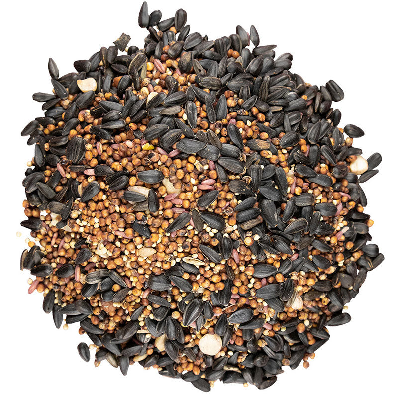 Easy Fill Bird Feeder - Bird Pro Cherry Bonanza Bundle