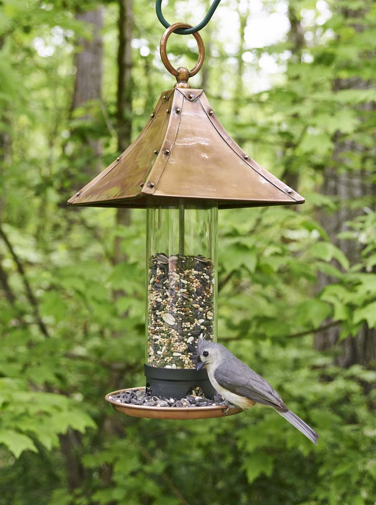 Backyard Bird Feeder