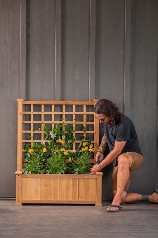 Rosewood Planter with Trellis gardening