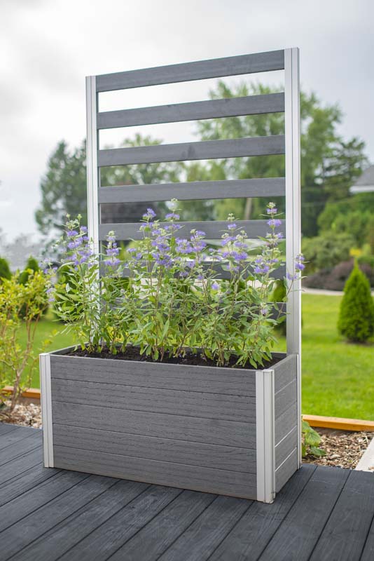 Urbana Small Parklette with Trellis on deck