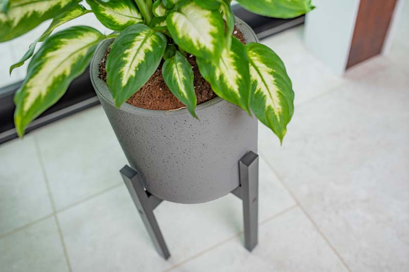 Växa 11” Self-Watering Planter close up